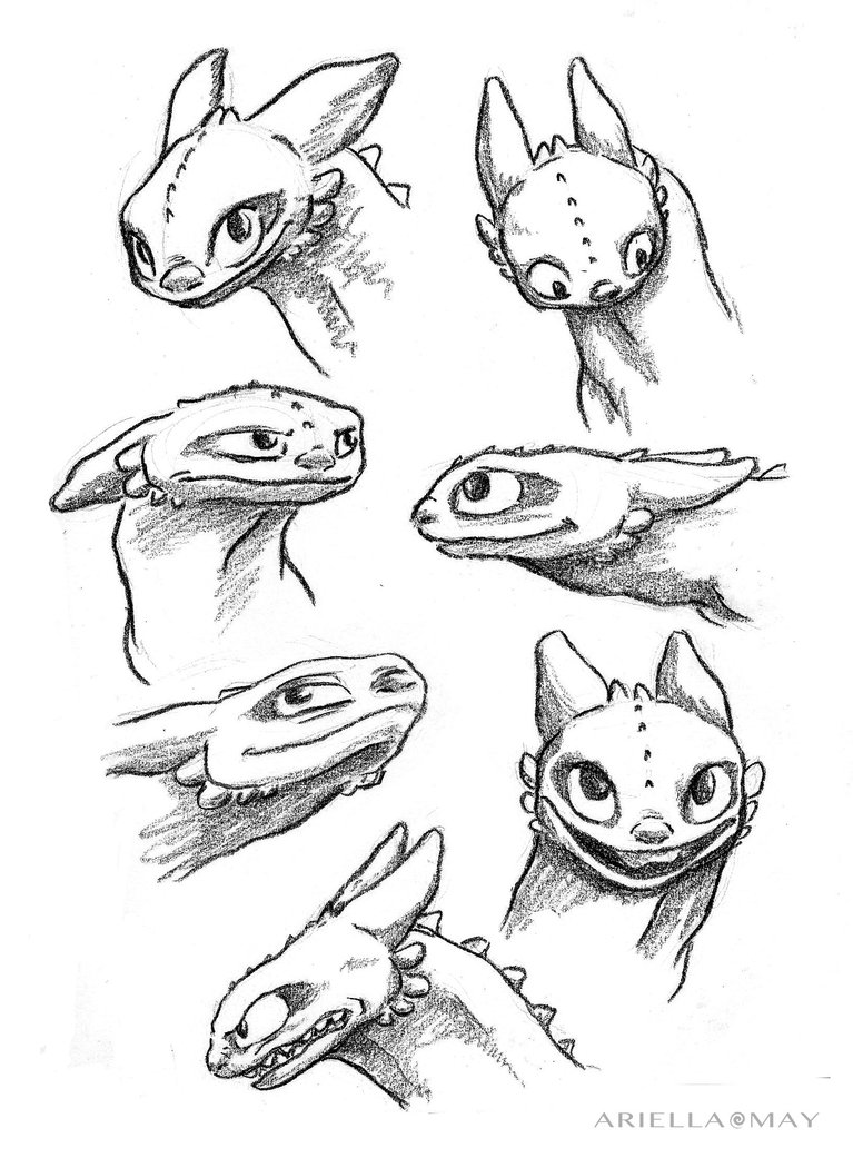 767x1041 Toothless Sketches 2 By Ariellamay