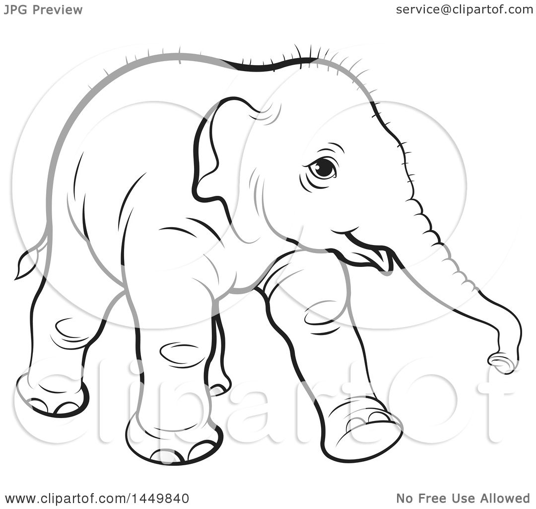 1080x1024 Clipart Graphic Of A Black And White Lineart Walking Baby Elephant