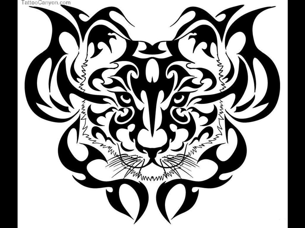 1024x768 Designs To Draw Tiger Tiger Drawings Step By Step