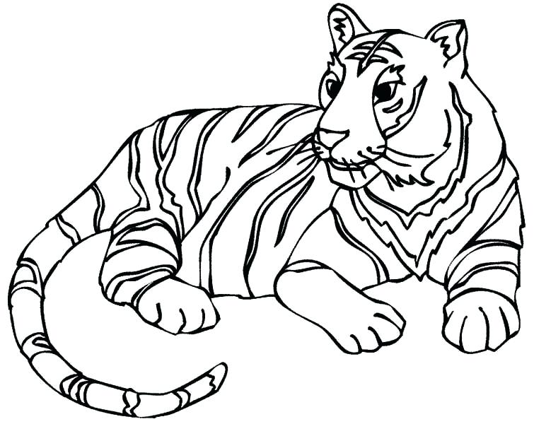 755x600 Printable Tiger Coloring Pages Tiger Coloring Page White Coloring
