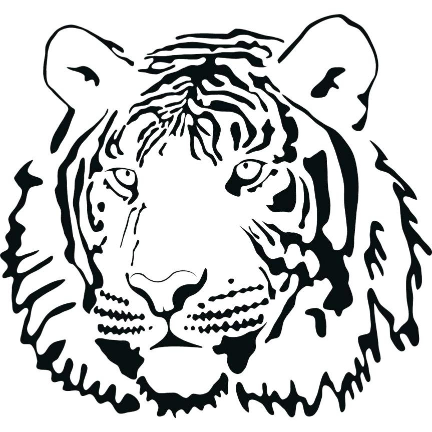 863x863 Tiger Cub Coloring Pages Pin White Tiger Cubs 1 Free Tiger Cub