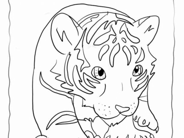 640x480 Baby Tiger Faces Coloring Pages. Coloring Pages Tiger Coloring