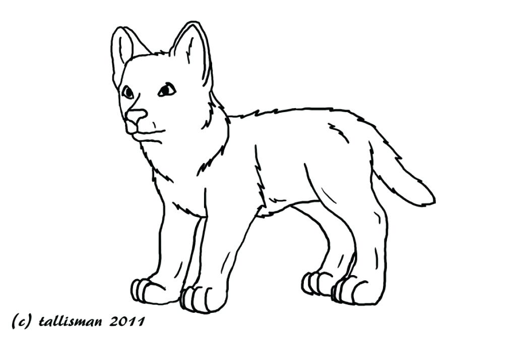 1024x680 Baby Wolves Coloring Pages Baby Wolf Coloring Sheets
