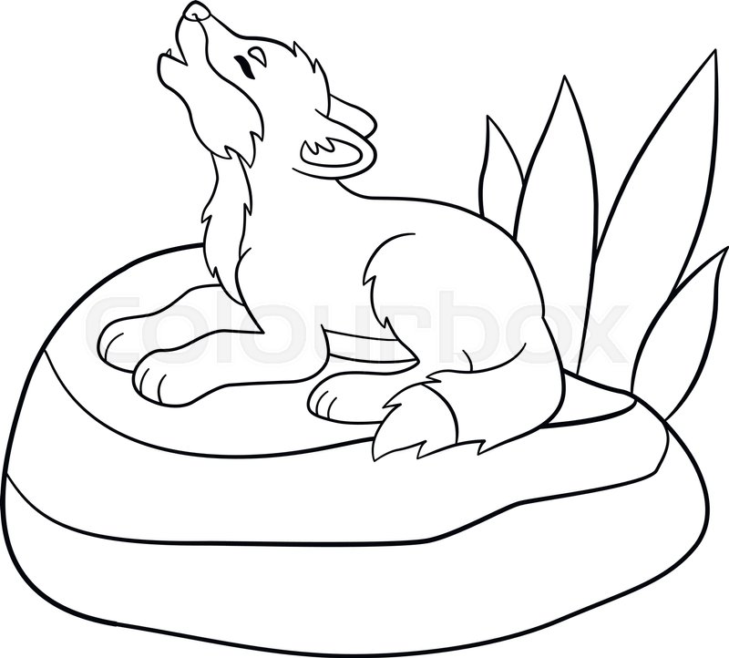 800x722 Coloring Pages. Little Cute Baby Wolf Lies On The Stone And Howls