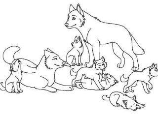 320x240 Fresh Baby Wolf Coloring Pages 91 For Your Free Colouring Pages