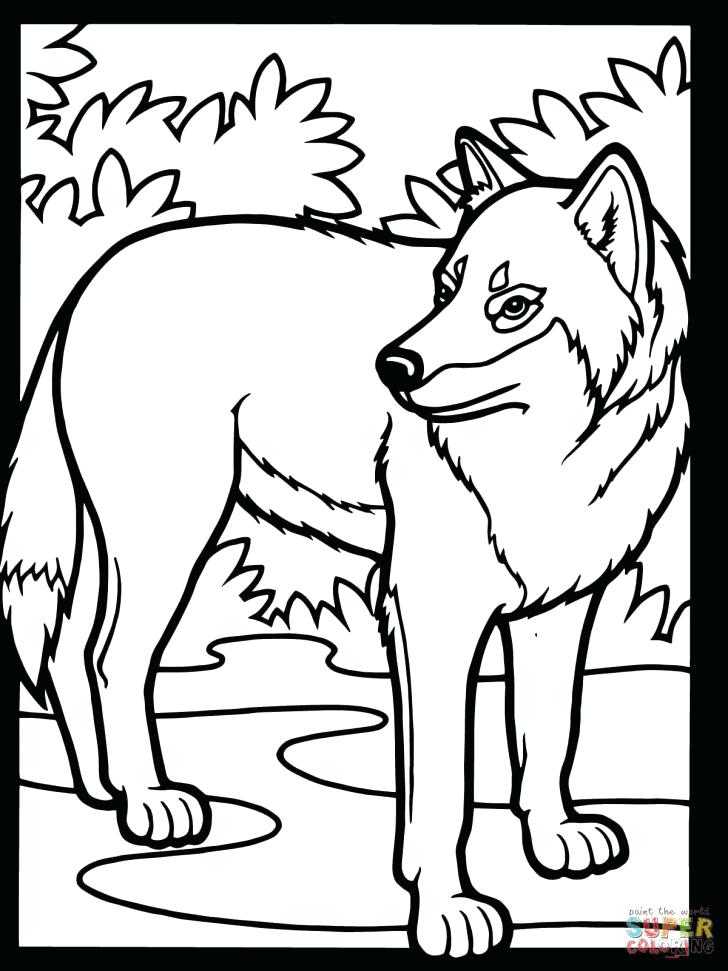 728x971 Baby Wolf Coloring Pages Wolf Coloring Pages Baby To Print Animal