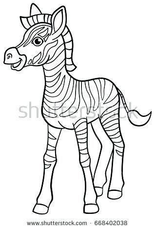 318x470 Cute Zebra Coloring Pages Coloring Pages Little Cute Baby Zebra
