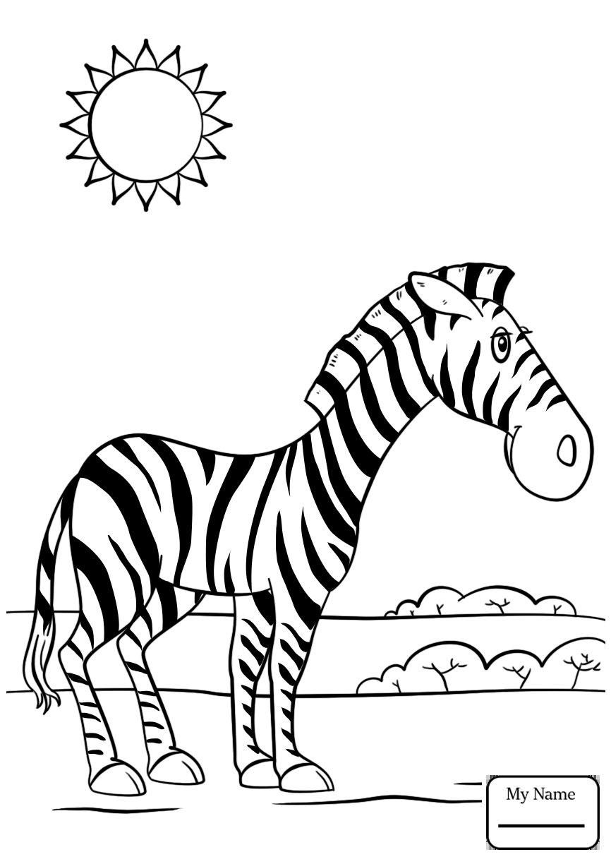 866x1224 Mammals Cute Baby Zebra Zebras Coloring Pages For Kids