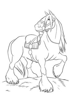 236x333 Beautifful White Horse In Horses Coloring Page Sketches