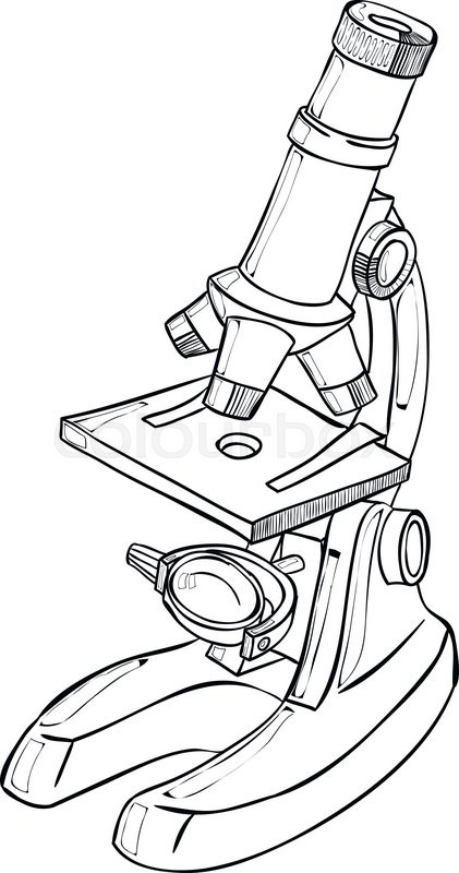 421x800 Hand Drawn Science Vintage Microscope Sketch Vector Illustration