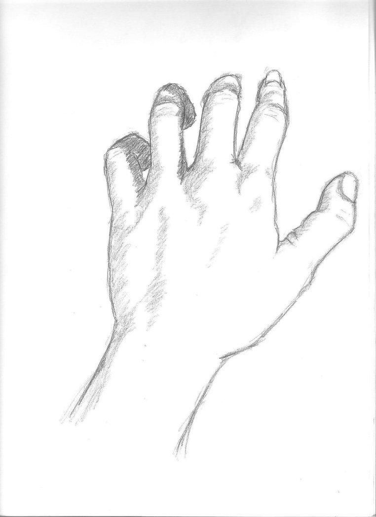 Back Of Hand Drawing at GetDrawings | Free download