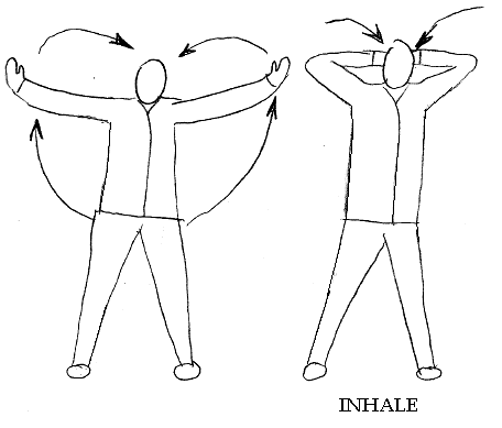 456x389 Exercises For Back Pain With Diagrams