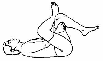 336x201 Low Back Pain Exercises