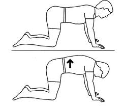 242x208 4 Stretches To Reduce Lower Back Pain
