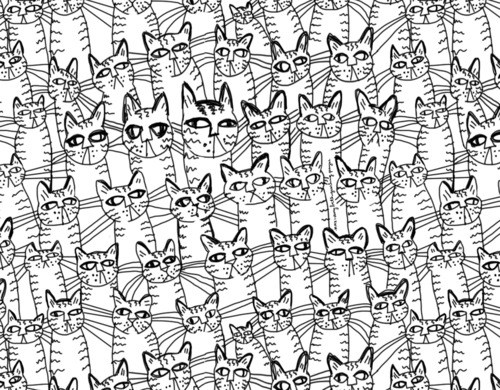 500x390 Images Background Designs Tumblr Android Backgrounds Background