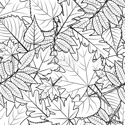 500x500 Vector Autumn Leaves Seamless Pattern. Black And White Background