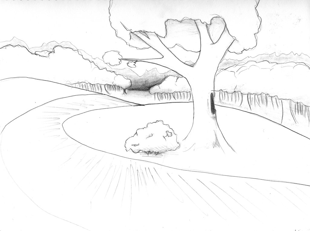 1024x766 Oq's Background Line Drawing By Rachelerincamacho