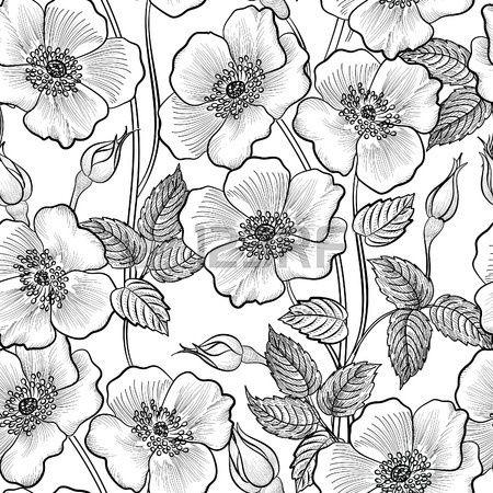 450x450 Floral Seamless Outline Sketch Pattern. Flower Background. Floral