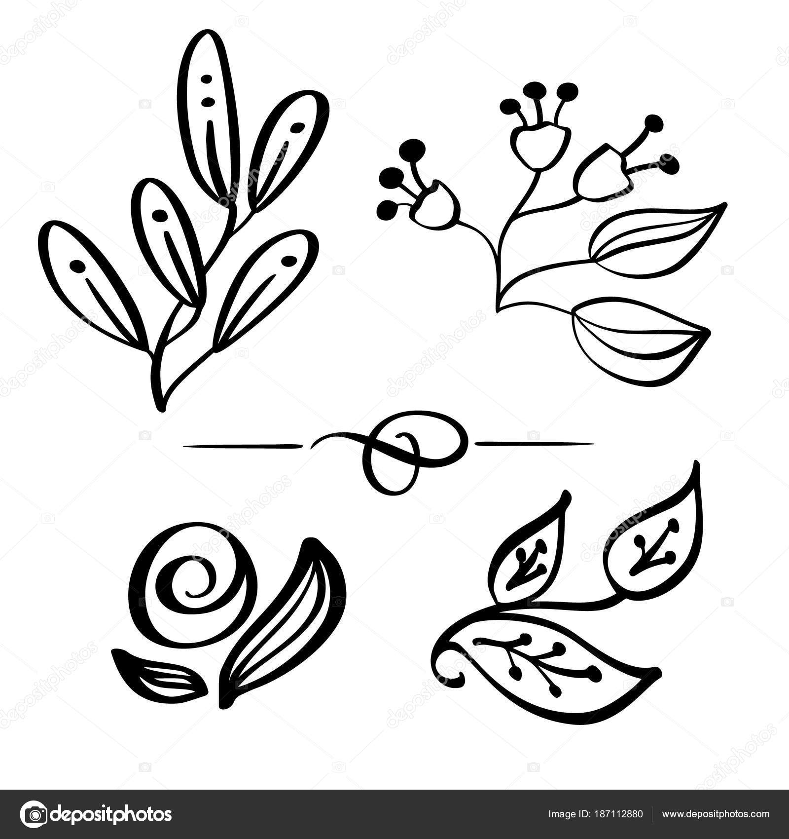 1600x1700 Set Hand Drawn Wild Flowers Branch Vector Drawing And Sketch