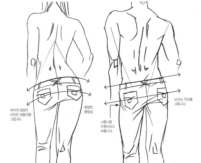 700x567 Image Result For How To Draw Back Of Leg References