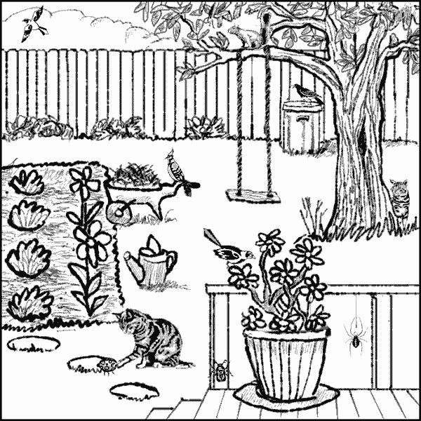 600x600 Children's Music By Nancy Stewart