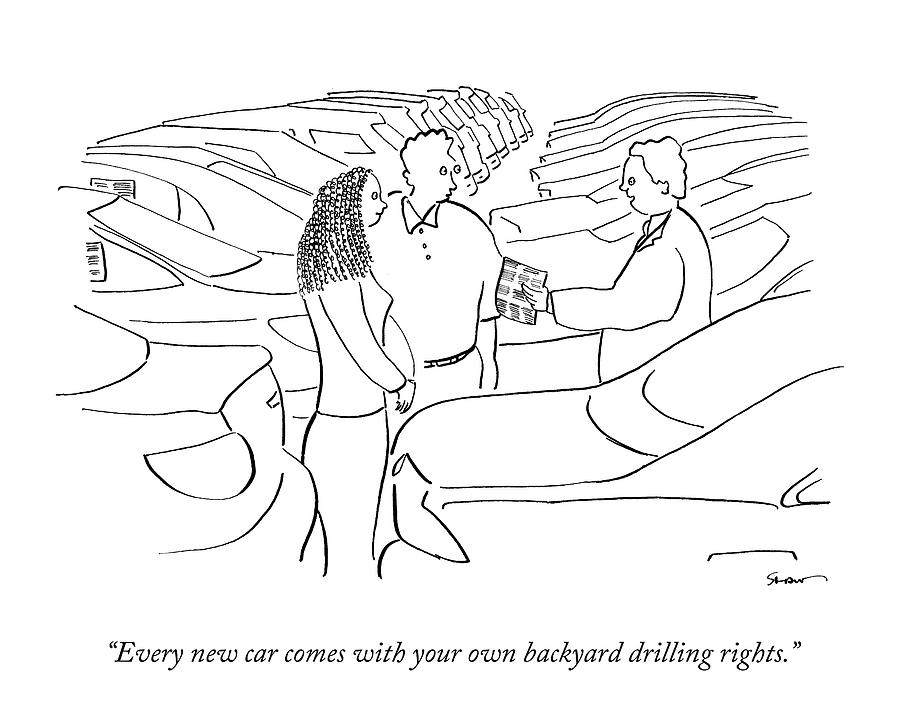 900x724 Every New Car Comes With Your Own Backyard By Michael Shaw