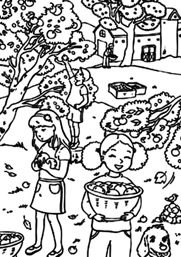 600x849 Three Little Girl Harvests Backyard Orange Coloring Pages