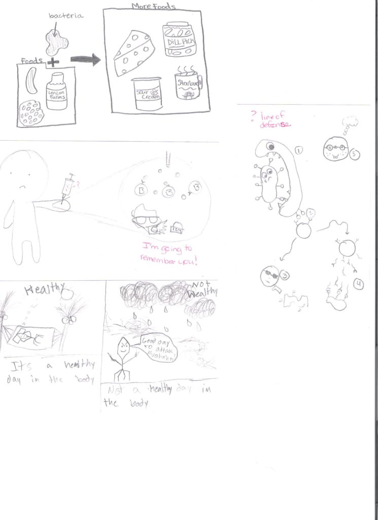 745x1024 Bacteria Worksheet Answers Worksheets For All Download And Share