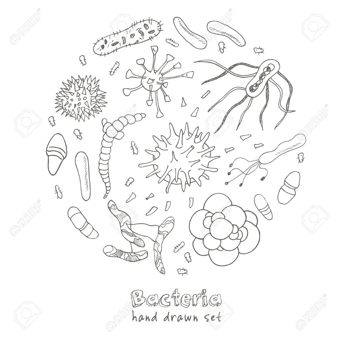 1300x1300 Bacteria Virus Icons Set. Sketches. Hand Drawing. Vector