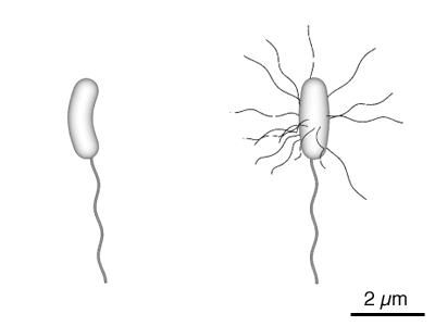 400x300 Episode 3 Day Of Rest, Robots, And Bacteria