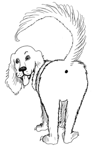 200x305 Strange But True Dirty Dogs Actually, Your Mouth Has More