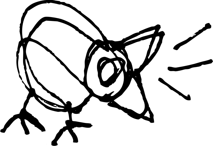 720x495 Cruise Ship Drummer! Making Bird Drawings