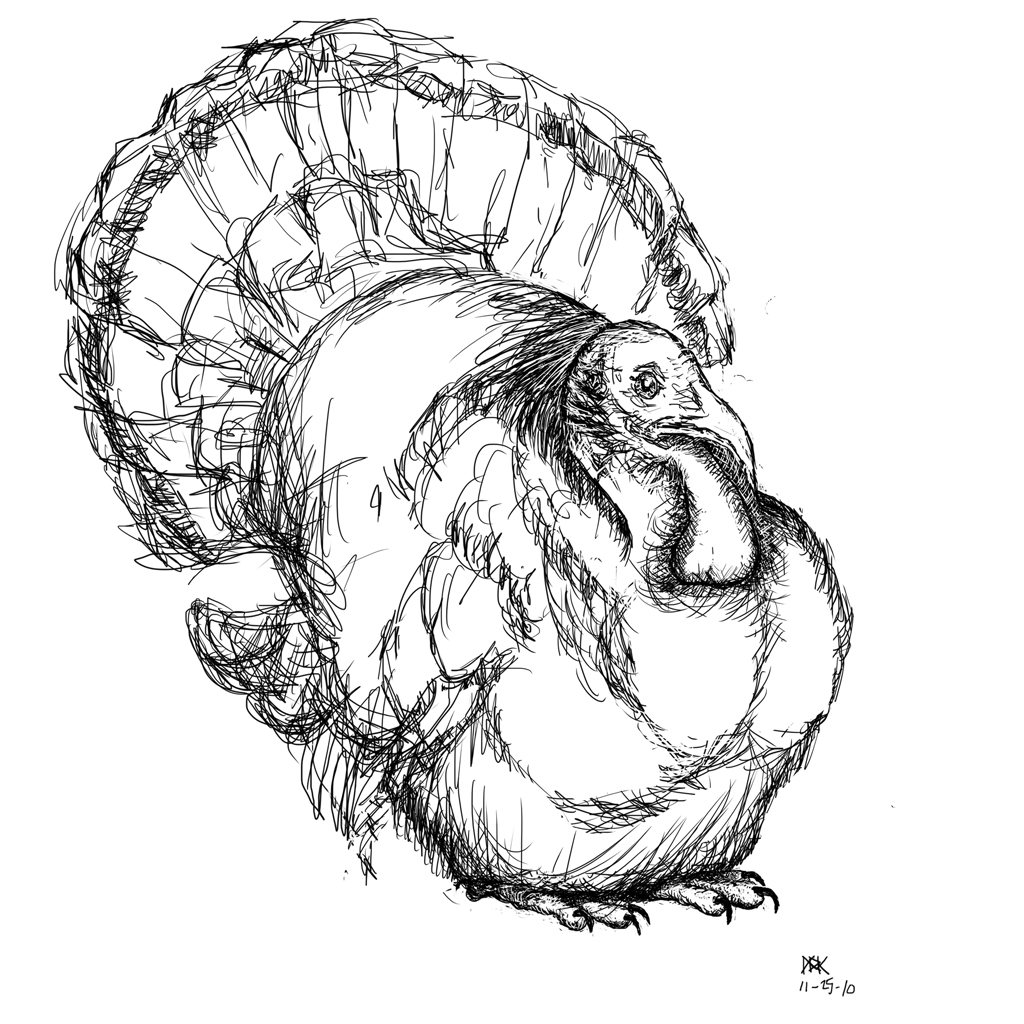 1024x1024 Drawing Of A Turkey Turkey 10,000 Bad Drawings