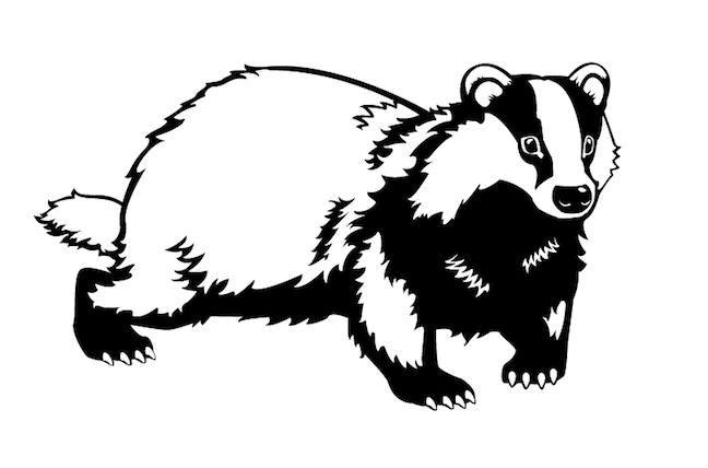 648x428 New Measurement Alerts! Badgers, Great White Sharks And