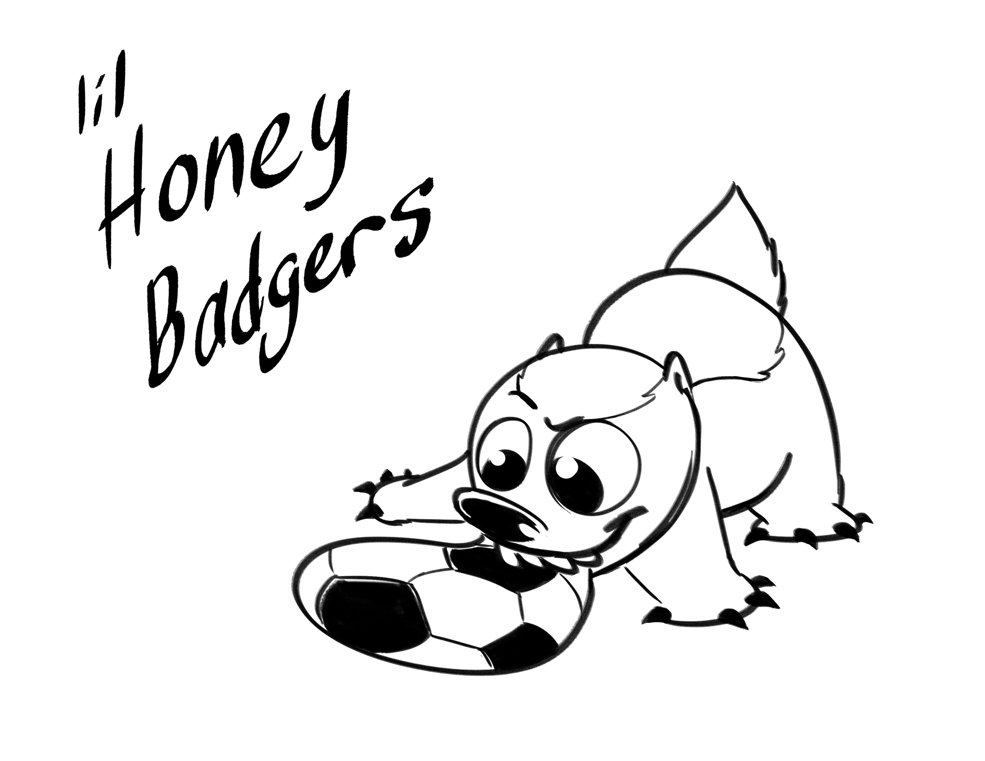 3300x2550 Soccer Team Logos David Knott