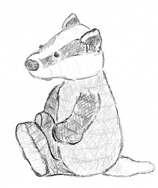 504x600 The Chubby Badger Sketch Son's Popkes
