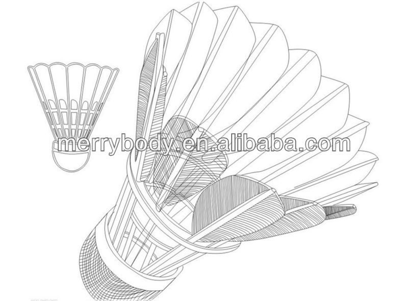 800x590 Shuttlecock Badminton