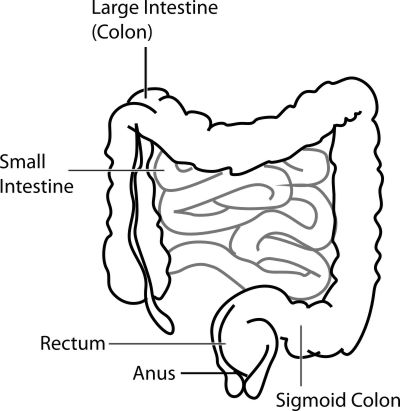 400x411 Lemon Baking Soda Intestinal Cleanser
