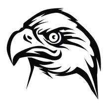 220x220 Buy Cartoon Bald Eagle And Get Free Shipping