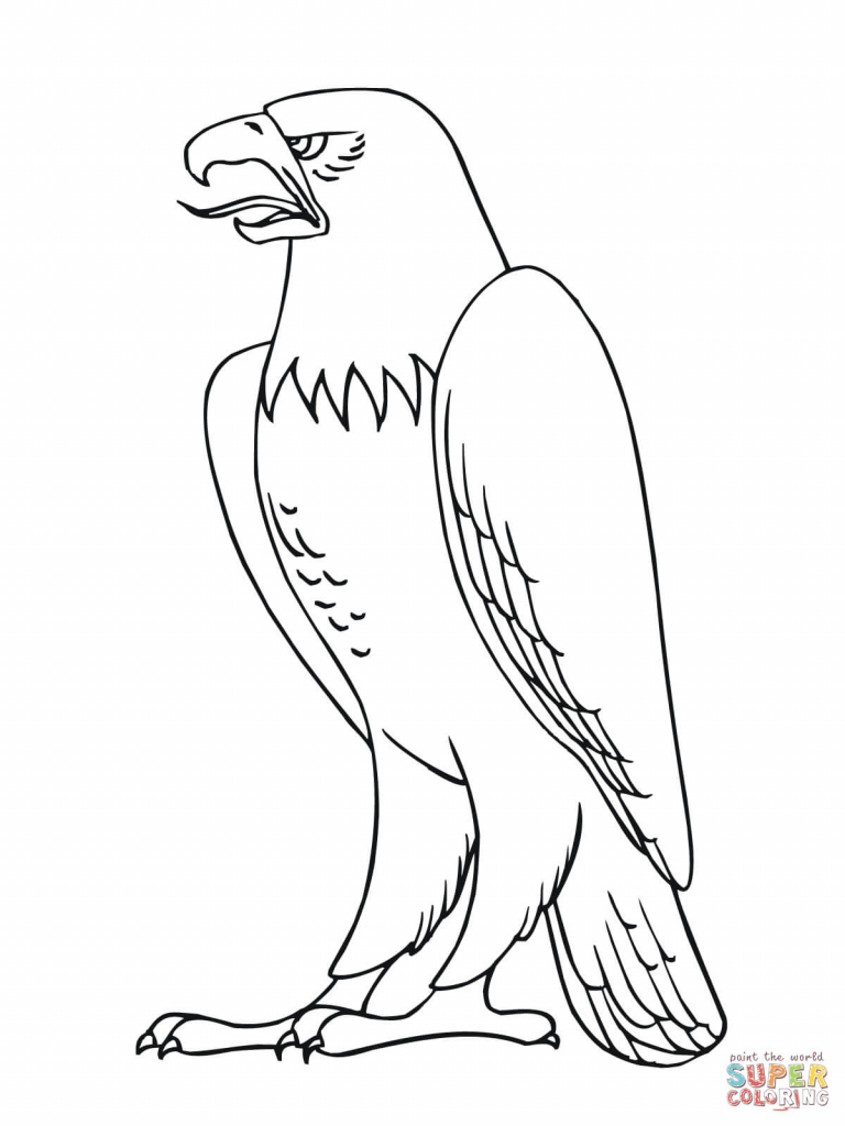 768x1024 Drawing Of A Bald Eagle A Cartoon Vector Drawing Of A Bald