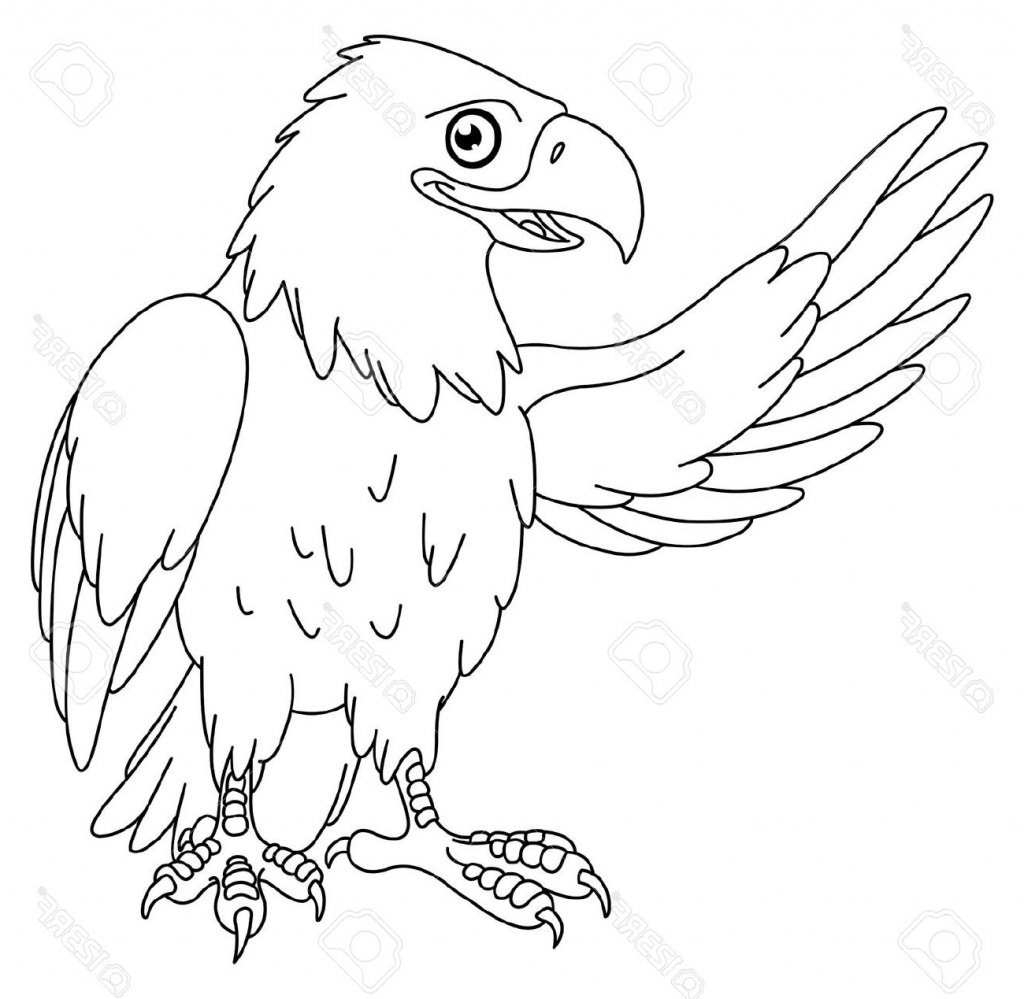 1024x999 Eagle Cartoon Drawing