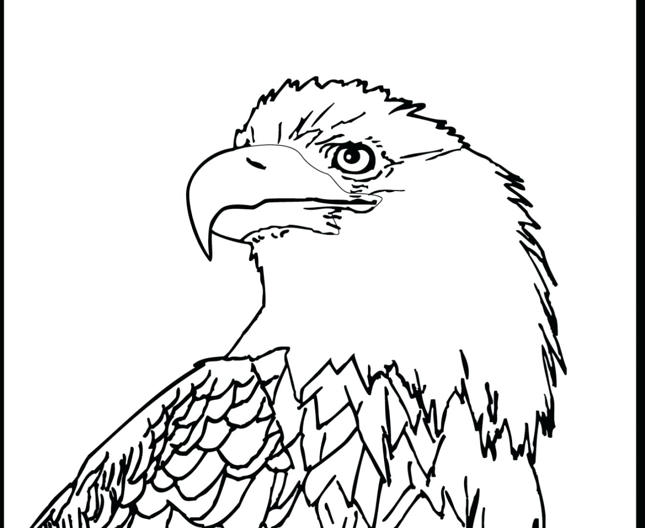 1320x1080 Coloring Coloring Page Of An Eagle