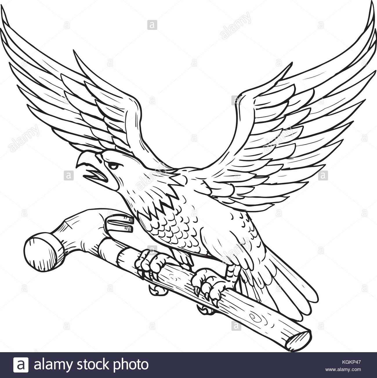 1300x1303 Drawing Sketch Style Illustration Of An American Bald Eagle