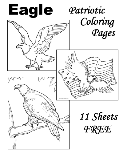 400x500 Bald Eagle Drawings And Coloring Pages! Classroom Ideas