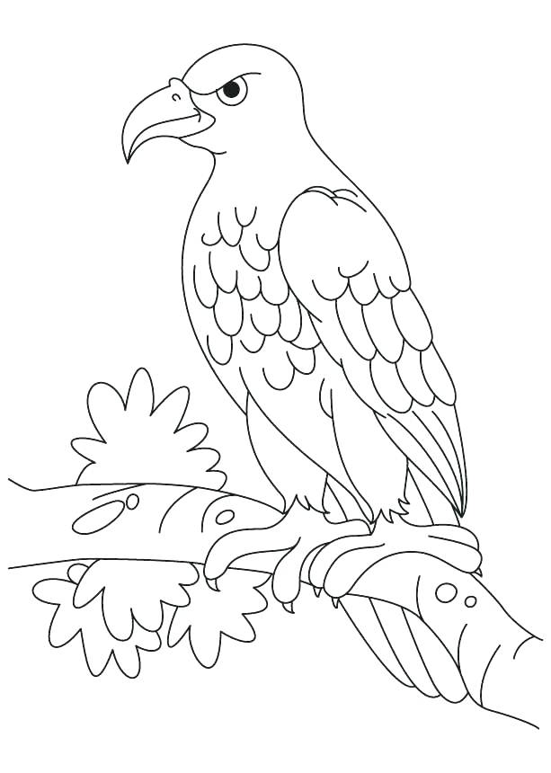 613x860 Coloring Pages Of Eagles Coloring Pages Of Bald Eagles Eagles
