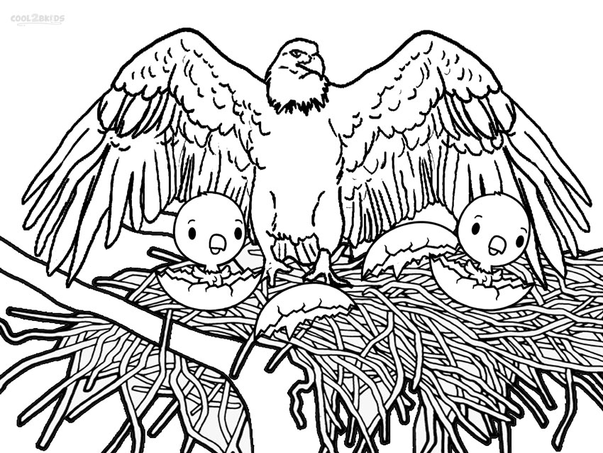 850x638 Printable Bald Eagle Coloring Pages For Kids Cool2bkids