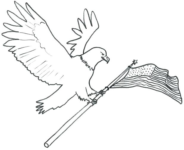 618x503 Pin White Tailed Eagle Clipart Coloring Book 4. Bald Eagle