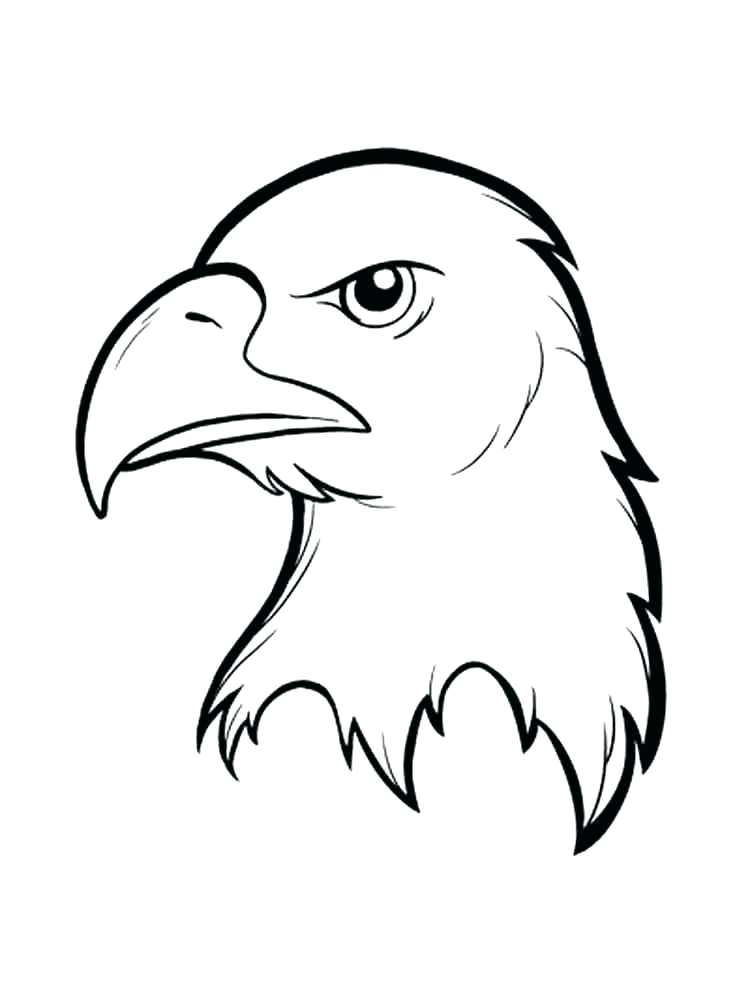 750x1000 Bald Eagle Coloring Pages Drawn Bald Eagle Coloring Page American