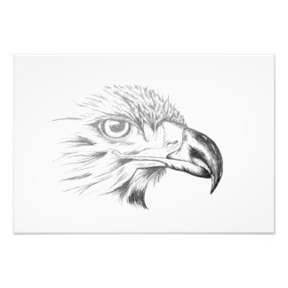 324x324 Bald Eagle Drawing Gifts On Zazzle Uk