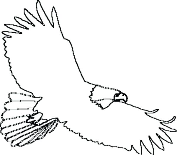 600x525 Bald Eagle Pictures To Color Soaring Bald Eagle Drawing Coloring